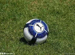 彩市风向标,双色球,期独家蓝球,武汉体彩,武汉体彩网,武汉体彩网官网,体育彩票,体彩大乐透,竞彩足球,体彩公益