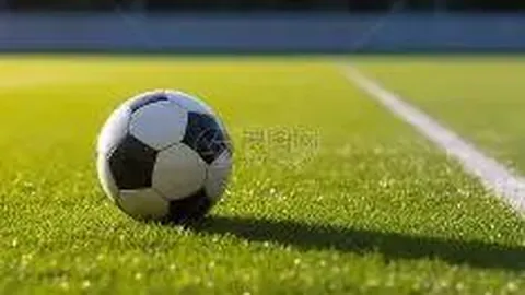 武汉体彩网 资讯 112824 yiy