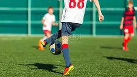 【双色球必中秘籍】2026010期独家预测：红球稳中求胜选号攻略——16、26、33，中奖几率翻倍！