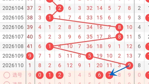 第2026028期 福彩双色球2026028期红球专家预测推